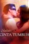 Poster Salah Kenal Cinta Tumbuh subtitle Indonesia